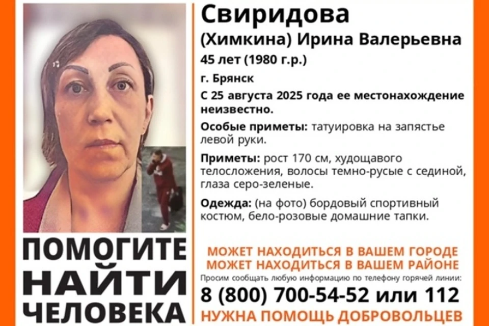 Фото: поисковый отряд "Лиза Алерт", ВКонтакте.