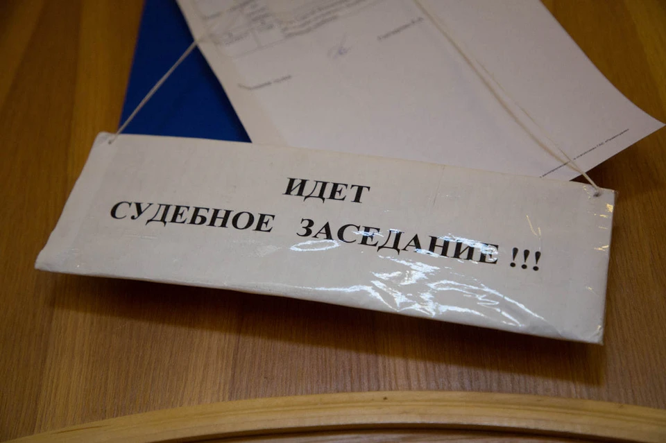 Суд, учитывая позицию государственного обвинителя, назначил злоумышленнице штраф