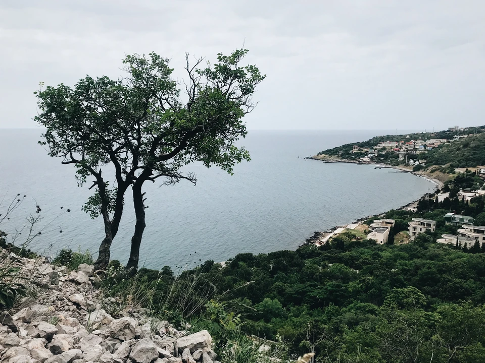 В Ялте откроют фотовыставку