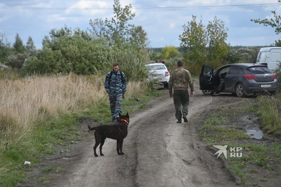 В настоящее время поиски Тимофея продолжаются