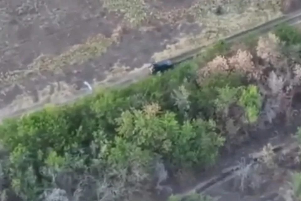 Фото: скриншот из видео Минобороны РФ