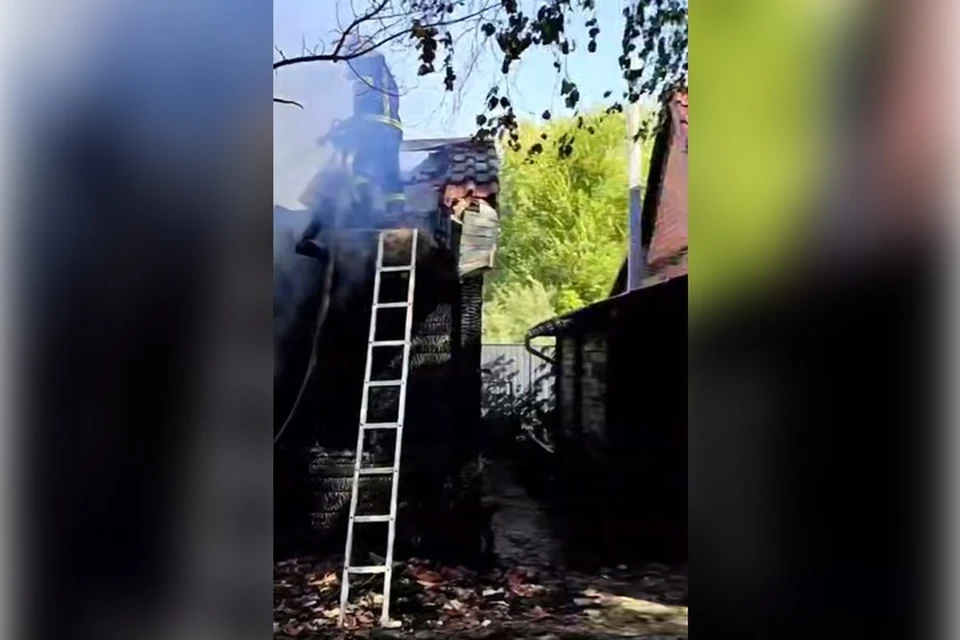Горела крыша бани. Фото: скриншот с видео