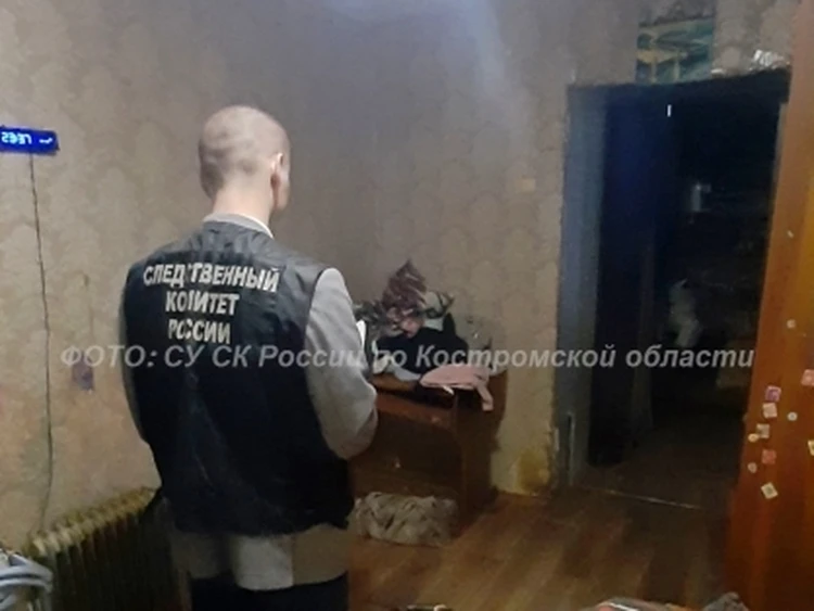 Костромича и его подругу ждёт суд по обвинению в смерти ребёнка