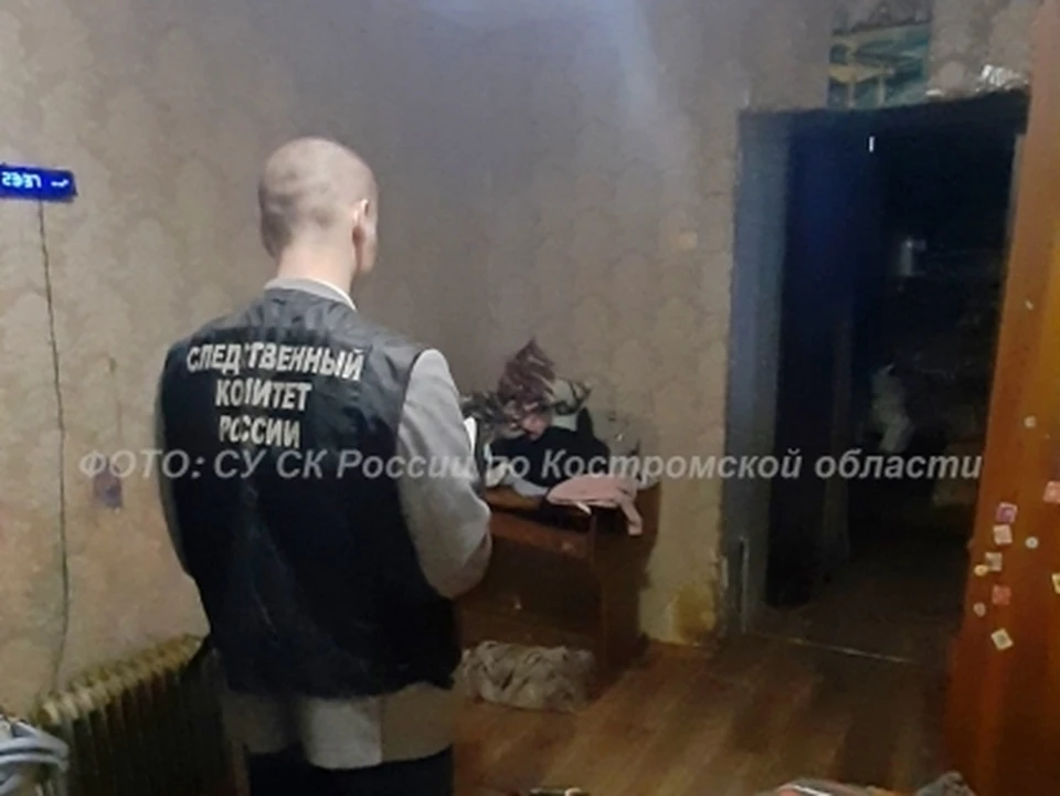 Фото: пресс-служба СУ СК России по Костромской области