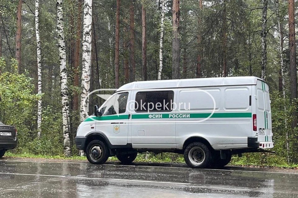 Жители поселка заметили оперативников утром 3 сентября. Фото: читатель «КП»