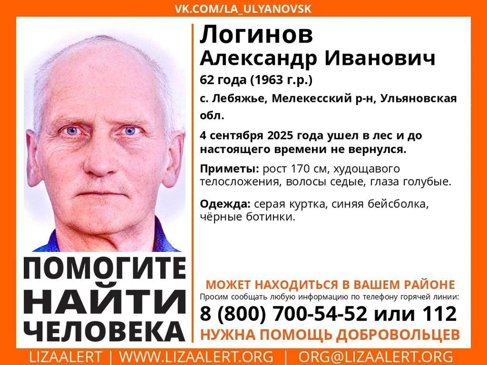 Фото: ЛизаАлерт