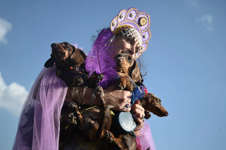 Фестиваль был приурочен ко Дню Василеостровского района.