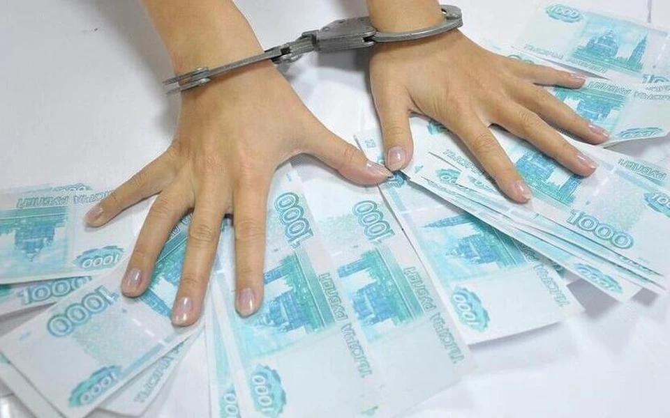 Похитила полмиллиона по нацпроекту