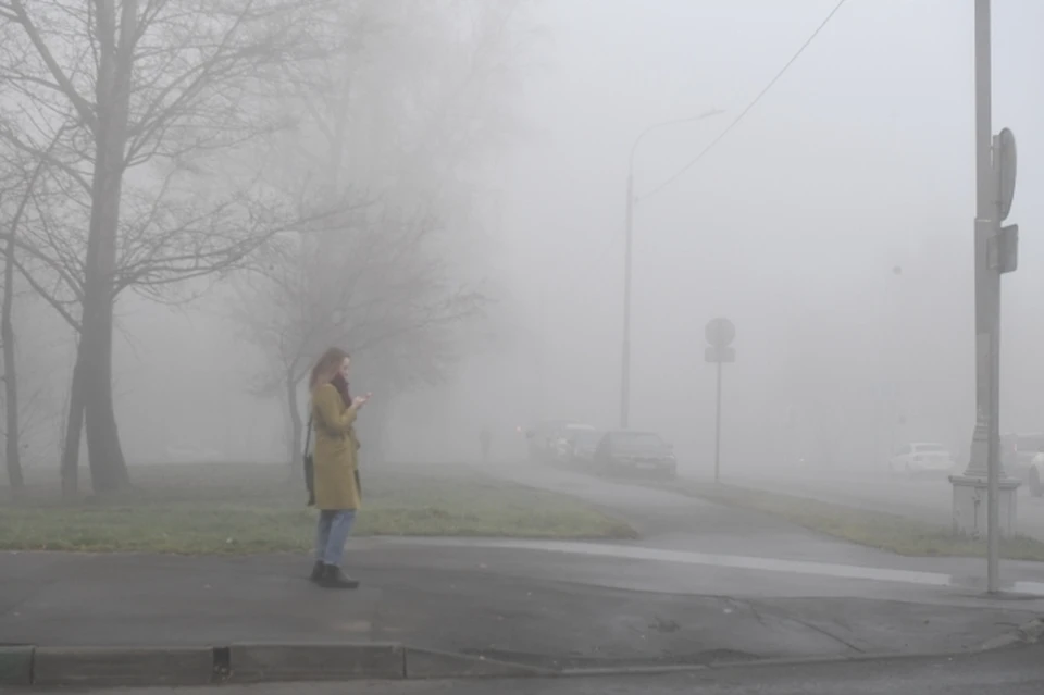 В Коми пришла настоящая осень