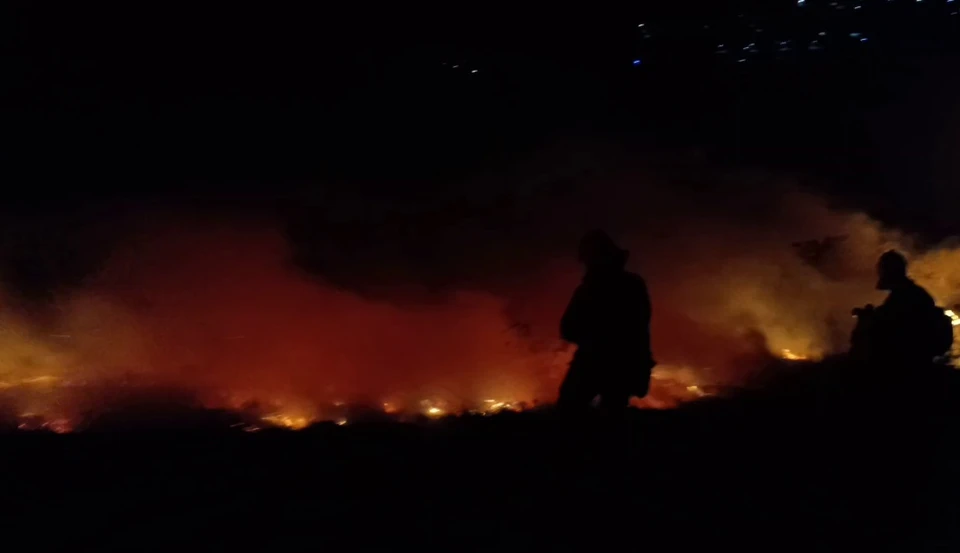 Фото: кадр видео пресс-службы ГУ МЧС по РК