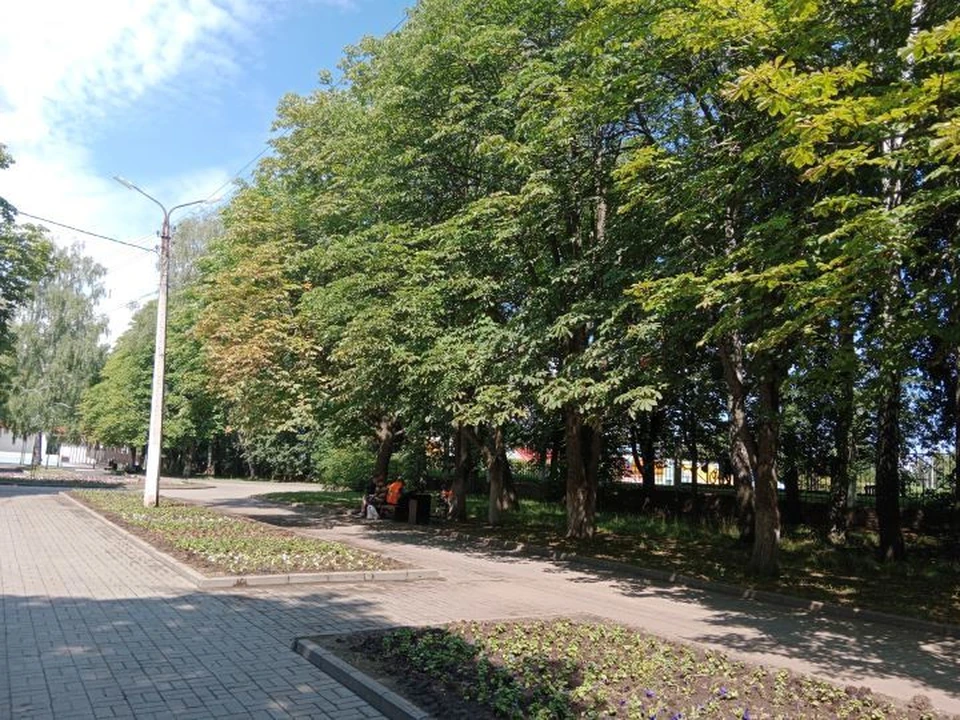 Погода в регионе будет теплой