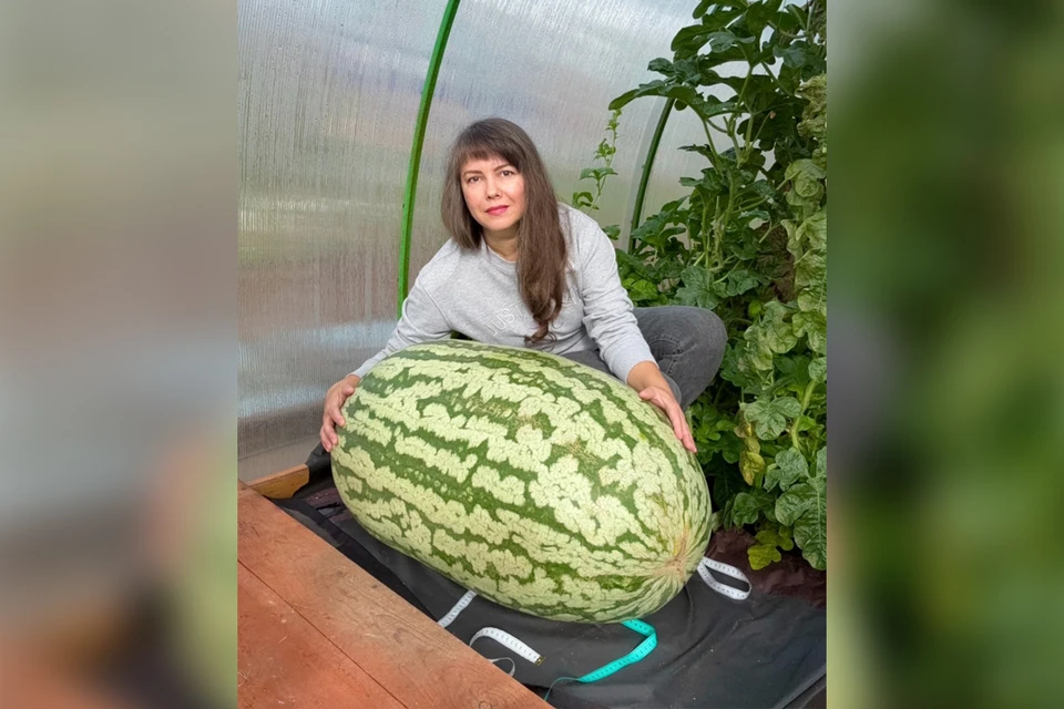 Дачница со своим рекордным урожаем. Фото: Каролина Овчинникова ВК.
