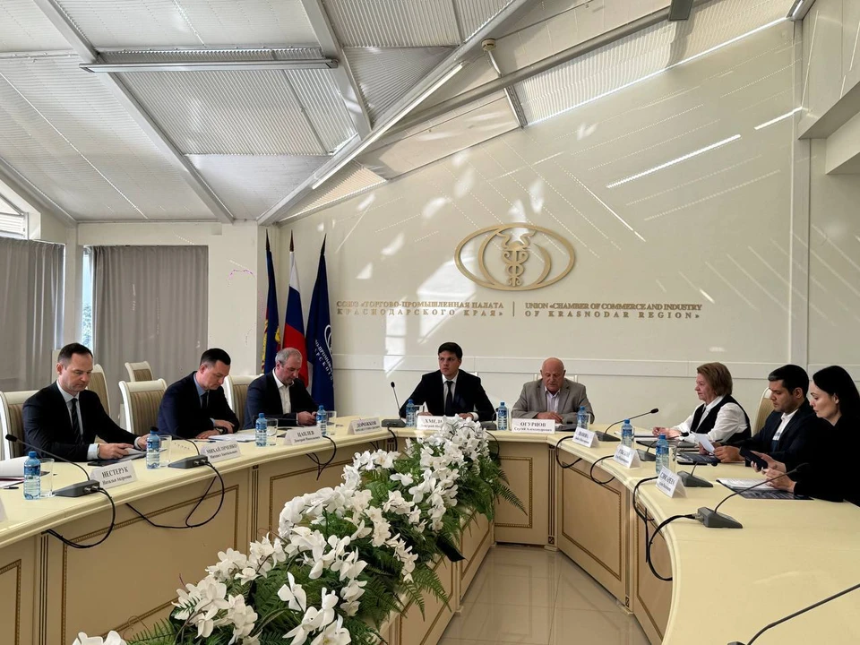 Заседание Наблюдательного совета. Фото: пресс-службы администрации Краснодарского края.