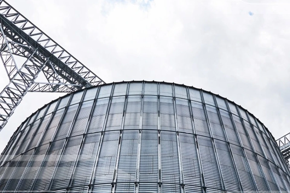 В Амвросиевском округе ДНР планируют построить элеваторные комплексы. Фото: Минстрой России