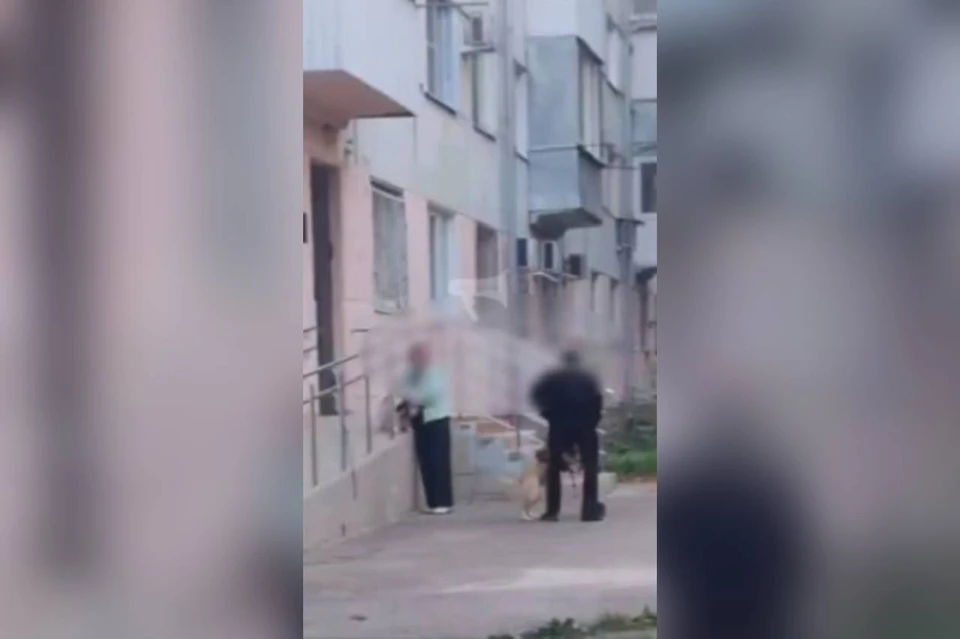 В Ставрополе мужчина со злой собакой угрожал местной жительнице. Фото: предоставлено ИА Stavropol.Media очевидцами