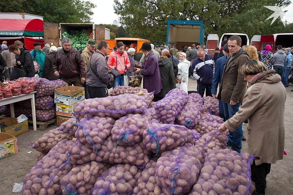 В Минске назвали список адресов, где будут работать сельскохозяйственные ярмарки осенью 2025 года. Снимок носит иллюстративный характер.