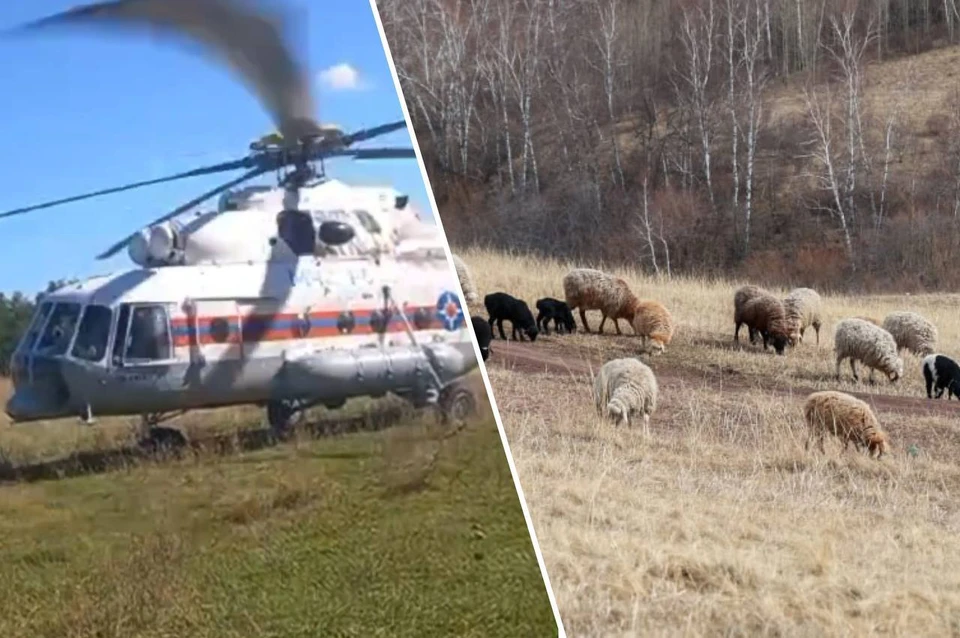 Чабанов уже спускают с горы вместе с животными. Фото: администрация Лакского района/ЛЕНЦ Мария