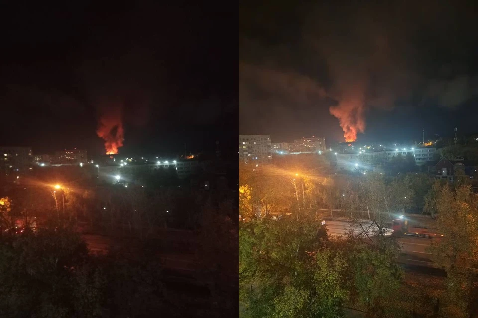 В новосибирском зоопарке произошел сильный пожар. Фото: предоставлено очевидцами