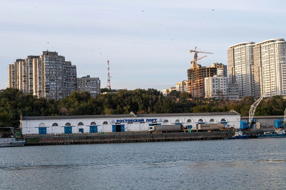 Основная часть внешнеторгового экспорта Ростовской области пришлась на на страны Азии, Африки и СНГ.