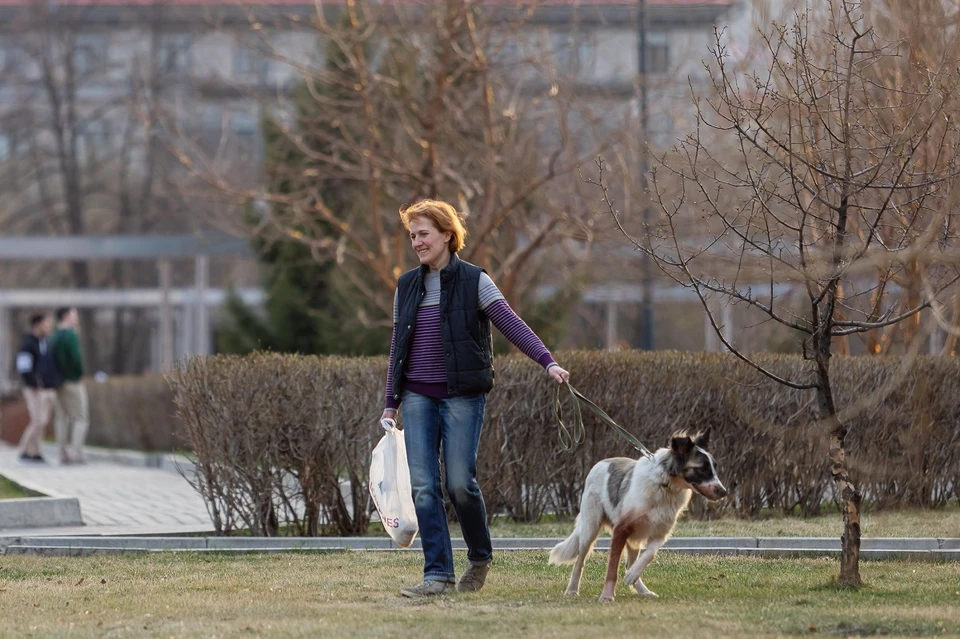 Красноярский зоопсихолог Виктор Петров рассказал о содержании собак в клетках