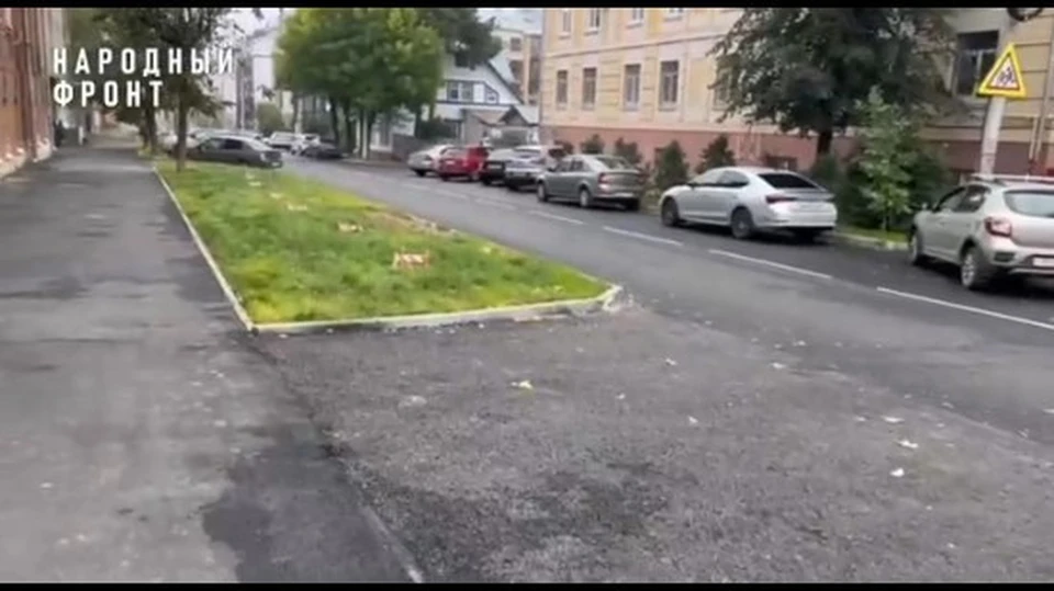 Фото: Народный фронт Костромская область