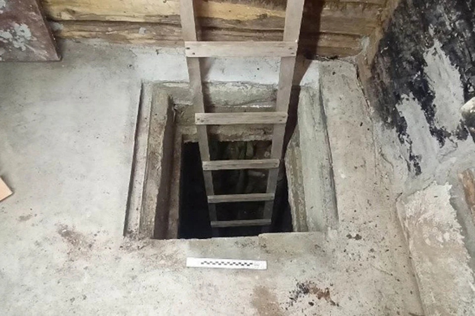 На Гродненщине семейная пара купила дом с мумией в подвале. Фото: Госкомитет судебных экспертиз
