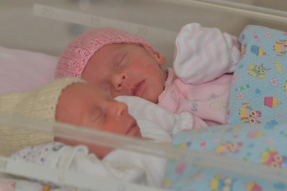Очередные девять новорожденных - это итог дня 24 сентября
