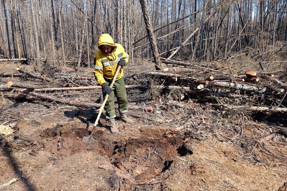 За минувшие сутки, 27 сентября, в Ростовской области ликвидировали 14 пожаров. Об этом сообщили в региональном МЧС.