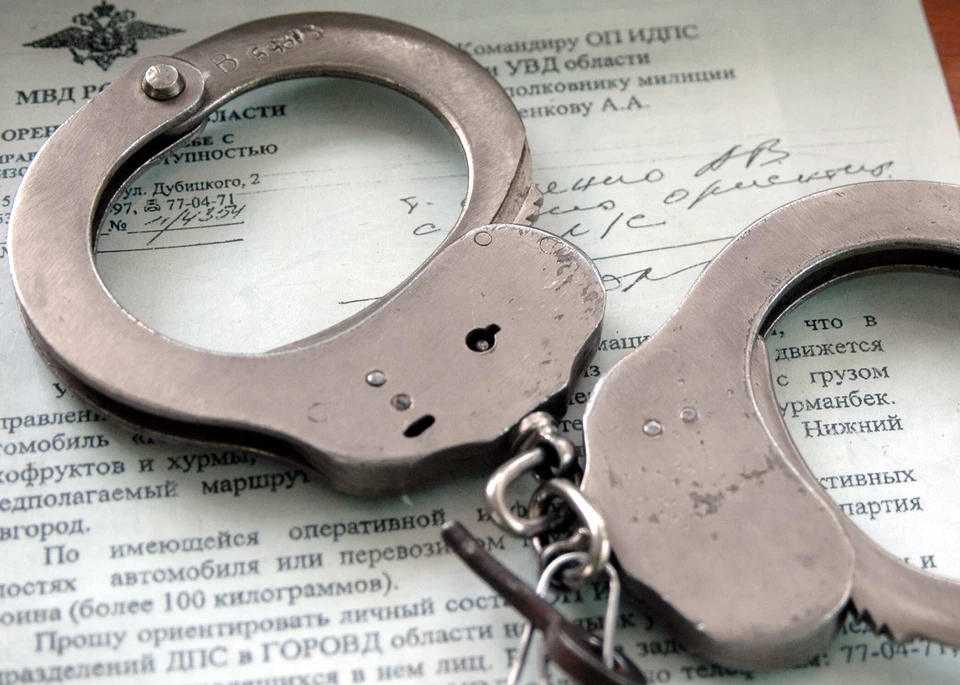 Подозреваемые по ходатайству следователя заключны под стражу