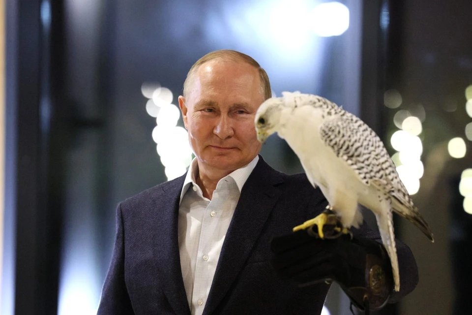 Король Бахрейна получил в дар от Путина двух камчатских соколов