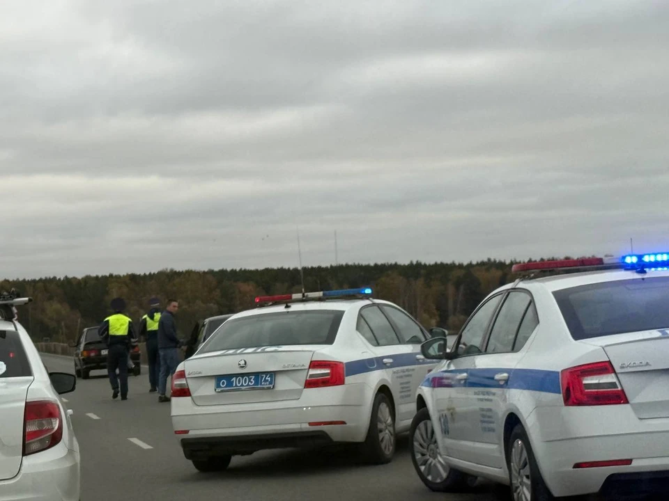 Фото: Читатель КП-Челябинск.