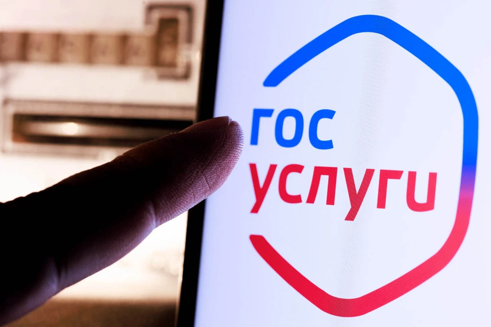 В Госдуме хотят оформлять разрешение на выезд ребенка из страны через Госуслуги