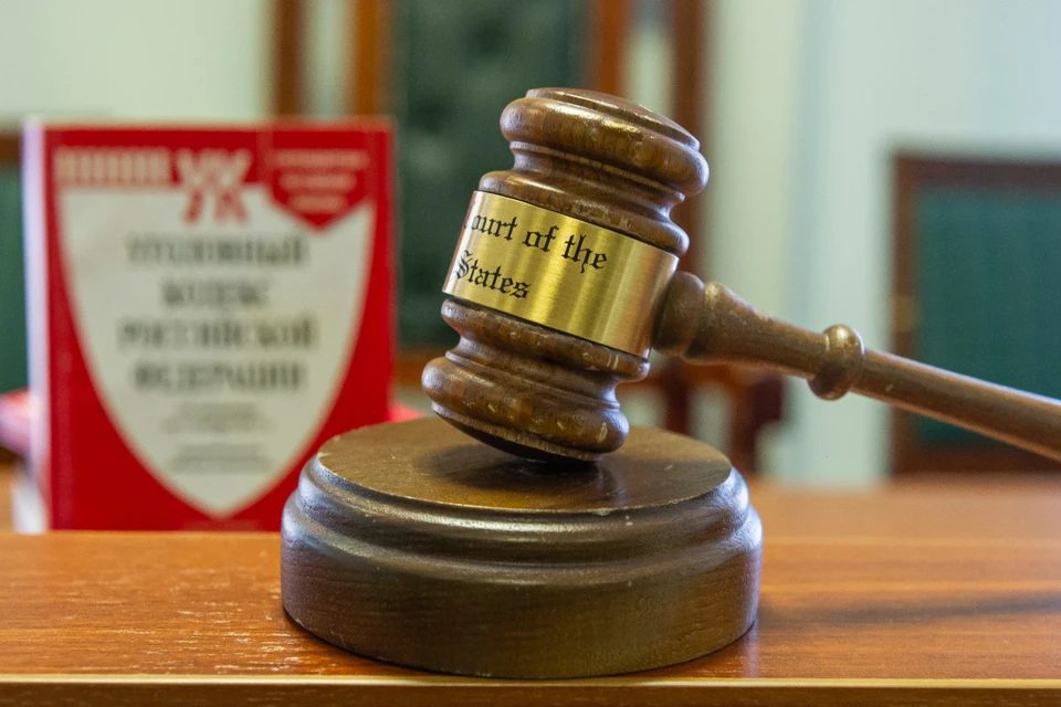 Дело рассматривали в особом порядке.