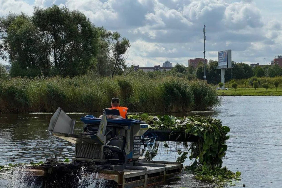 В Петербурге продлят график летней уборки рек и каналов. Фото: t.me/infoeco_spb