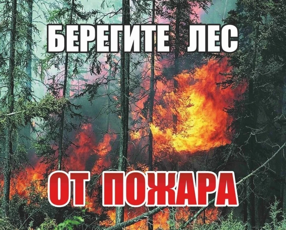 Фото: Минприроды Саратовской области