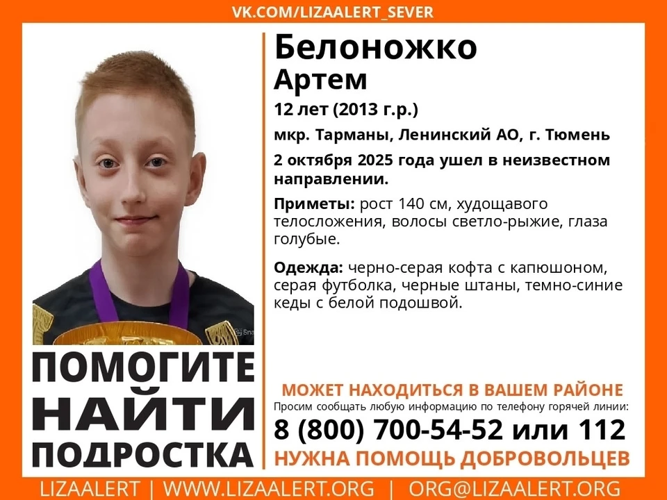 Фото: ЛизаАлерт, ВК.
