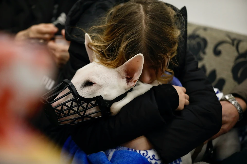 Жительница Днепропетровской области сообщила, многие бегут из региона из-за наступления ВС РФ