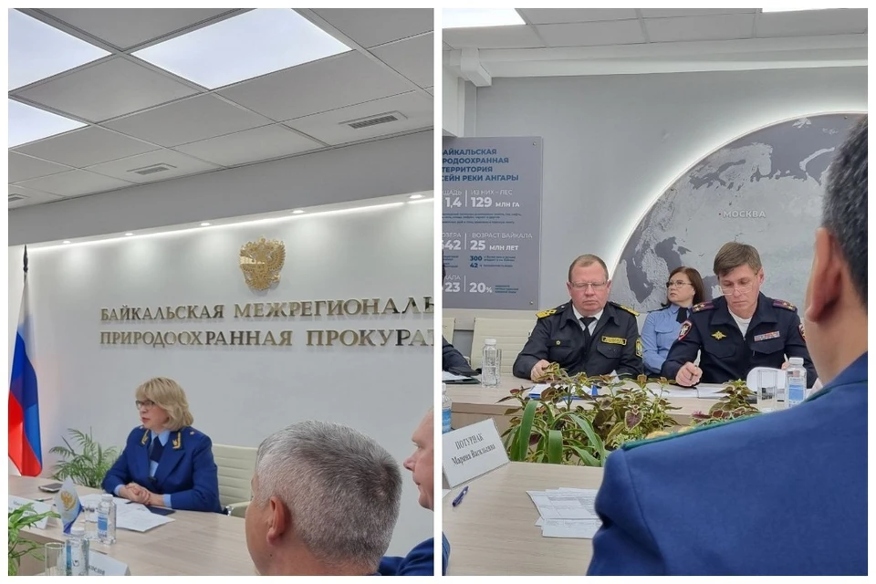 79 уголовных дел об охране природы возбудили в Иркутской области с начала года.