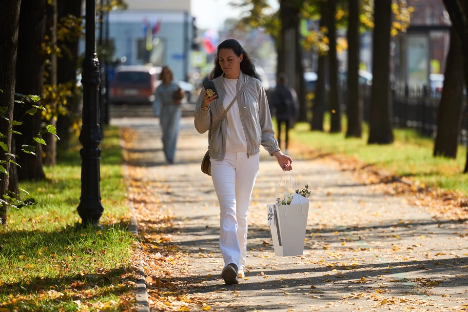 Ночью и утром на дорогах возможен туман.