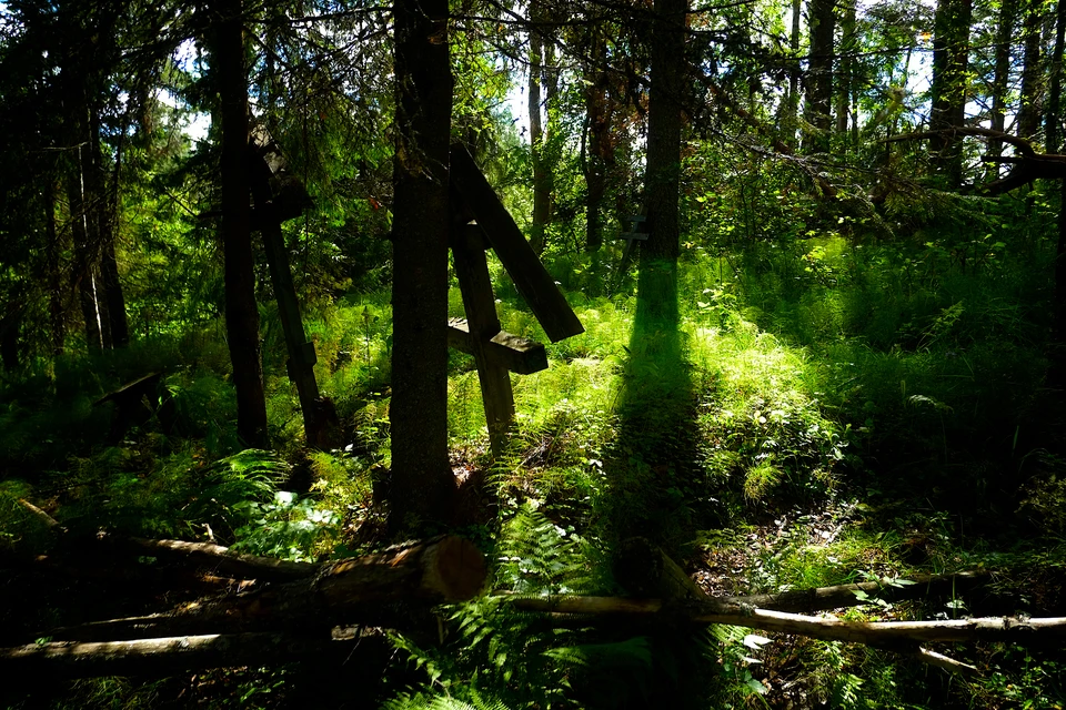 Кладбища предоставляют ценные свидетельства и факты.