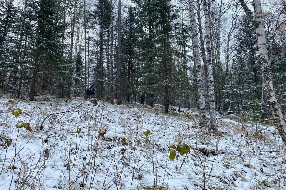 Поиски осложняются выпавшим снегом. Фото: Следственный комитет по Красноярскому краю и Хакасии