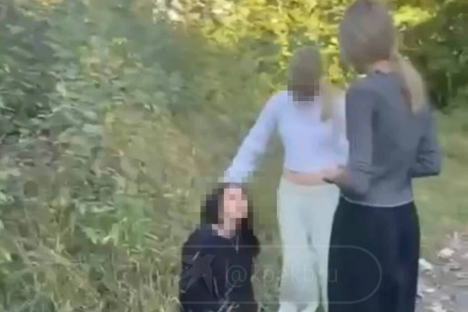 Жуткие кадры уже заинтересовали полицию. Фото: читатель «КП»