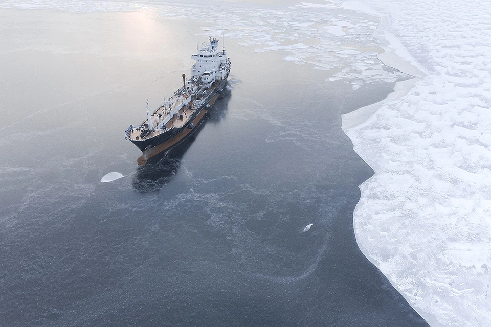 Нефтяной танкер во льдах Арктики. Фото: hpphtns/Shutterstock/Fotodom