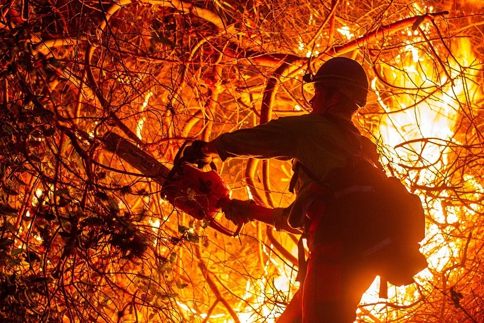 Виновника самого мощного пожара в истории Лос-Анджелеса нашли по ИИ