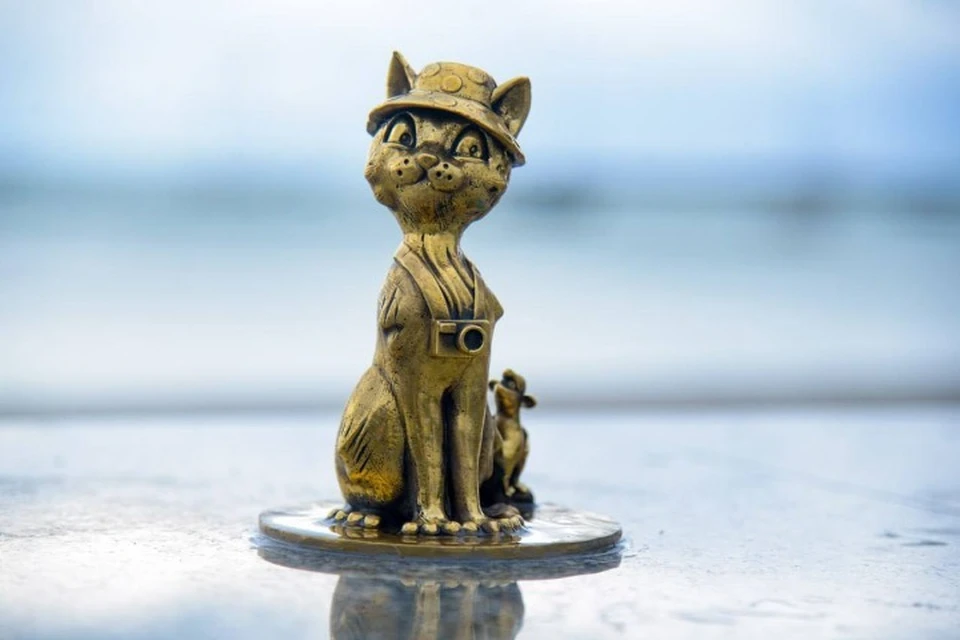 Кот-путешественник. Фото: Александр Юрьев/Tg