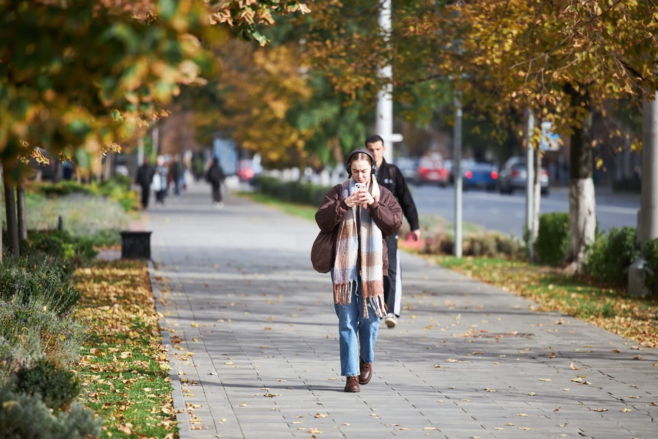 Договор аренды парка Плевен в Ростове расторгнут из-за нарушений.