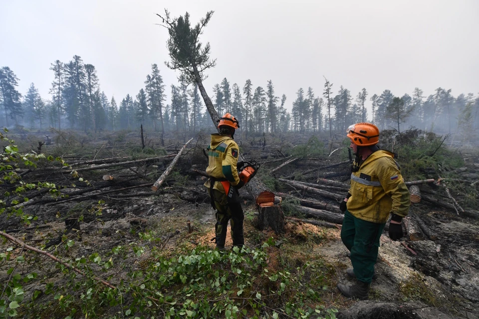 В Приморье с лесными пожарами борются комплексно. Фото: Иван Макеев.