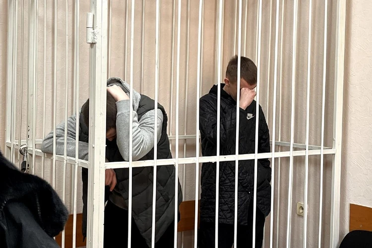 «Поссорились из-за фото»: дело о похищении дочки судьи из Новосибирска хотят рассматривать в Барнауле