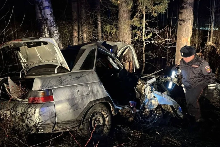 «18-летняя девушка скончалась на месте»: под Верхней Пышмой «ВАЗ» с пятью молодыми людьми врезался в дерево