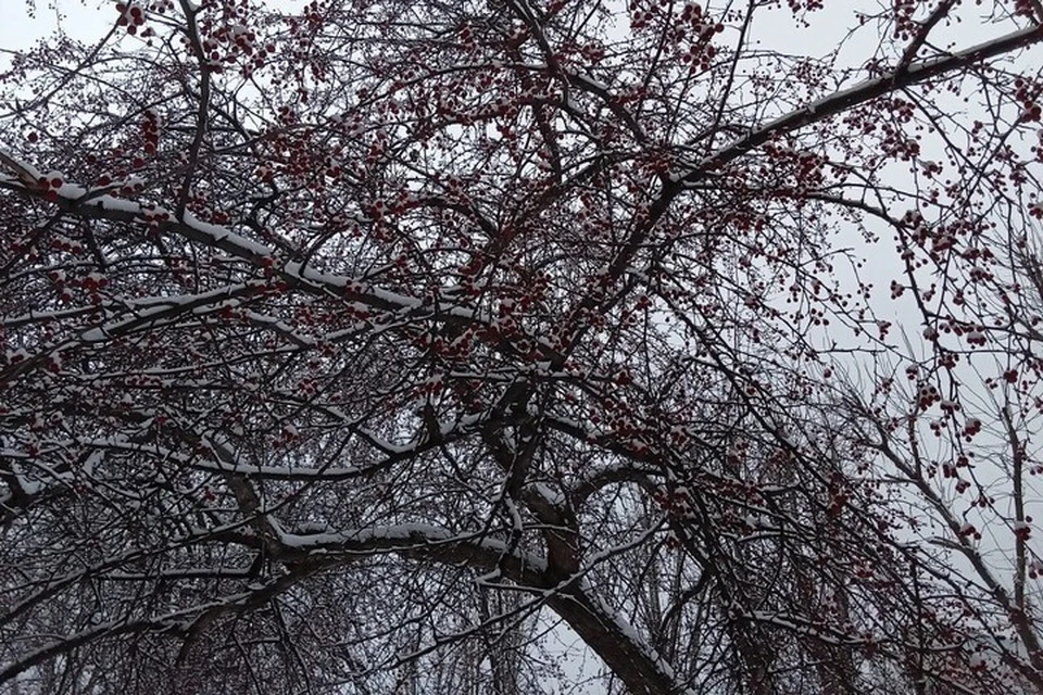 Погода на Ямале с 20 по 26 октября